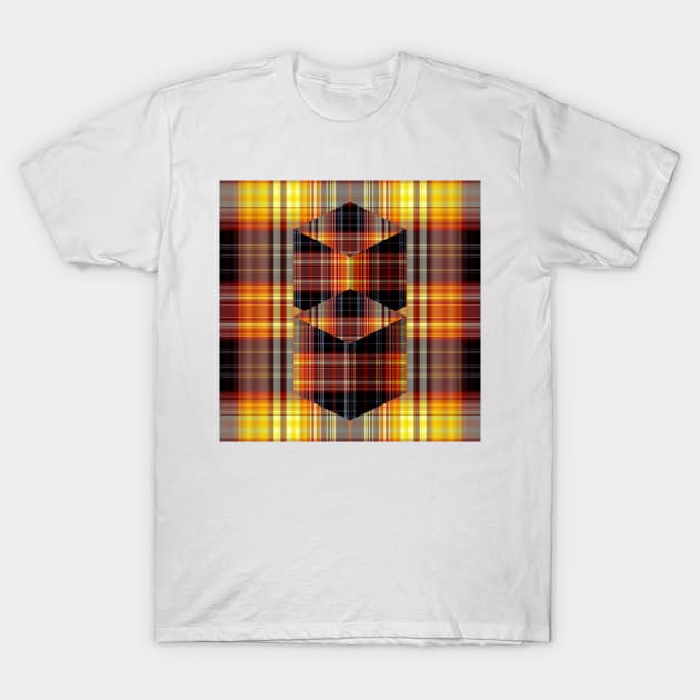 Plaid on Plaid T-Shirt by DANAROPER